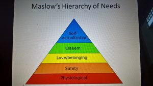 maslow